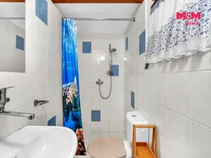 Prodej chaty, Pastviny, 90 m2