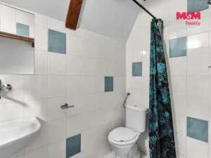 Prodej chaty, Pastviny, 70 m2