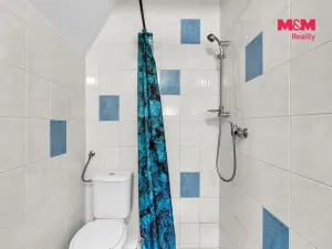 Prodej chaty, Pastviny, 70 m2