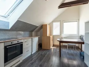 Prodej rodinného domu, Pavlov, 265 m2