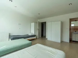 Prodej rodinného domu, Pavlov, 265 m2
