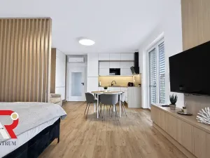 Prodej bytu 1+kk, Pasohlávky, 41 m2