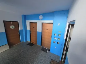 Prodej podílu bytu 3+1, Český Krumlov, Sídliště Plešivec, 75 m2