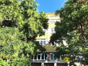 Prodej bytu 1+kk, Praha - Vinohrady, Šrobárova, 20 m2