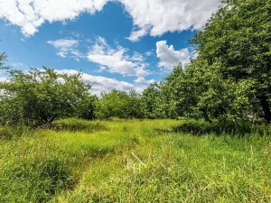 Prodej pozemku pro bydlení, Klučov, 6413 m2