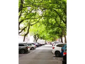 Prodej bytu 2+1, Praha - Vinohrady, Lužická, 50 m2