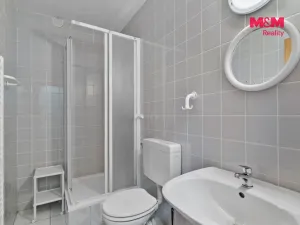 Prodej chalupy, Harrachov, 341 m2