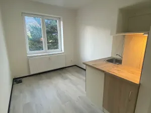 Pronájem bytu 1+kk, Praha - Hlubočepy, Na Zlíchově, 17 m2