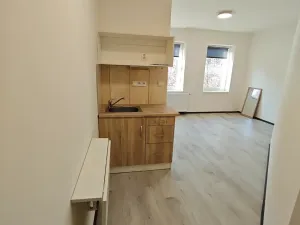 Pronájem bytu 1+kk, Praha - Hlubočepy, Na Zlíchově, 17 m2