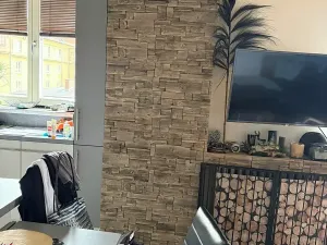 Prodej bytu 2+kk, Ostrava, Pionýrů, 71 m2
