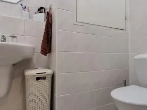 Pronájem bytu 1+1, Brno, Majdalenky, 52 m2