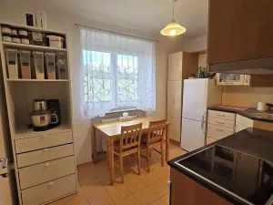 Prodej bytu 1+1, Dobříš, Březová, 31 m2