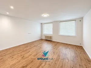 Pronájem bytu 2+kk, Ústí nad Labem, Anežky České, 49 m2