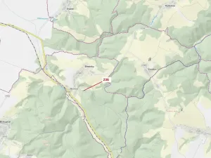 Dražba lesa, Březinky, 813 m2