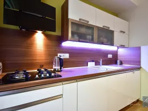 Prodej bytu 1+1, Ústí nad Labem, Masarykova, 40 m2