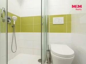 Pronájem bytu 1+kk, Ostrava - Poruba, 27 m2
