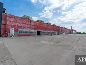 Pronájem skladu, Veselí nad Moravou, 2000 m2