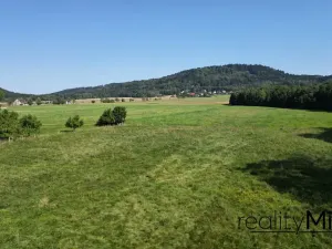 Prodej louky, Křižany, 1044 m2