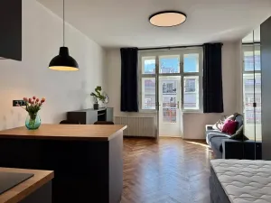 Pronájem bytu 1+kk, Praha - Nové Město, Na výtoni, 36 m2