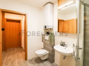 Pronájem bytu 1+kk, Brno, Cyrilská, 40 m2
