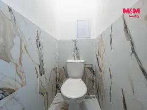 Pronájem bytu 2+1, Tochovice, 55 m2