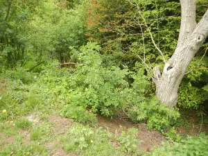 Dražba rodinného domu, Mrzky, 190 m2