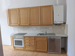 Pronájem bytu 1+1, Opava, Těšínská, 50 m2