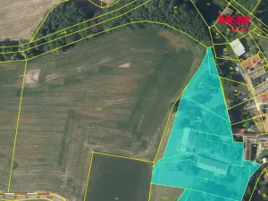 Prodej zemědělské usedlosti, Bečváry - Horní Jelčany, 90 m2