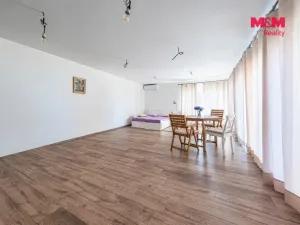 Prodej rodinného domu, Tábor - Čelkovice, V Polích, 300 m2
