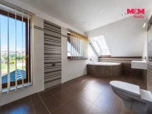 Prodej rodinného domu, Tábor - Čelkovice, V Polích, 300 m2