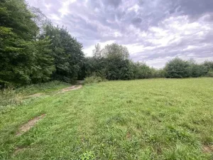 Prodej pole, Potštejn, 950 m2