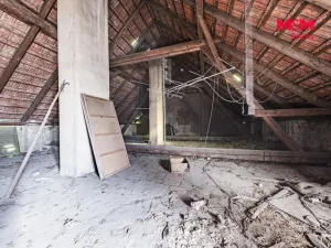 Prodej obchodního prostoru, Nová Ves - Vepřek, 600 m2