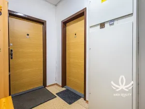 Pronájem bytu 2+kk, Mladá Boleslav, tř. Václava Klementa, 41 m2