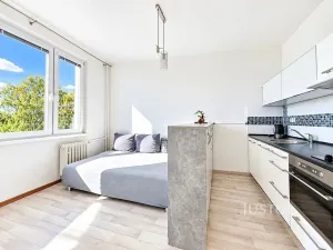 Prodej bytu 1+kk, Ústí nad Labem, SNP, 20 m2