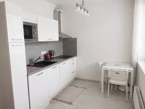 Pronájem bytu 1+kk, Brno, Nad Přehradou, 24 m2