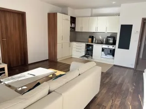 Pronájem bytu 2+kk, Liberec, Horská, 55 m2