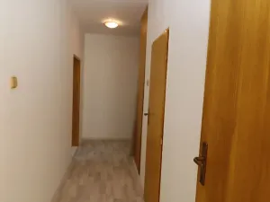 Pronájem bytu 2+1, Ostrov, Mánesova, 58 m2