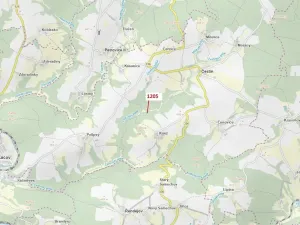 Dražba lesa, Čestín, 518 m2