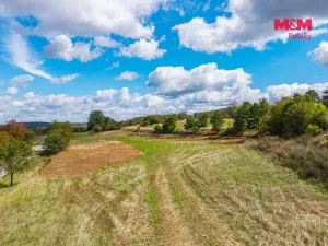 Prodej pozemku pro bydlení, Milešov, 1041 m2