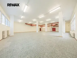 Pronájem obchodního prostoru, Štětí, Obchodní, 460 m2