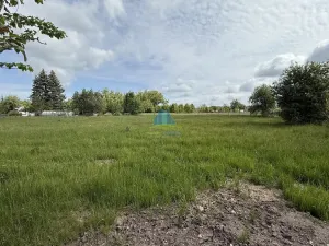 Prodej zahrady, Františkovy Lázně - Horní Lomany, Horní, 1302 m2