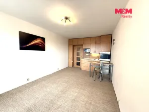 Prodej bytu 1+kk, Ostrava - Poruba, náměstí Václava Vacka, 30 m2