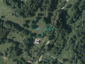 Prodej pozemku, Benešov nad Černou - Kuří, 3849 m2