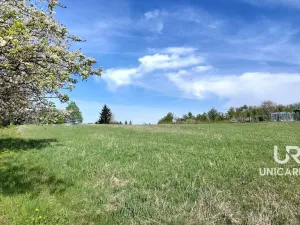 Prodej pozemku, Benešov, 5776 m2