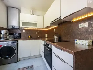 Pronájem bytu 2+1, Brno, Družstevní, 55 m2