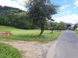 Prodej pozemku pro bydlení, Loučná nad Desnou, 36840 m2