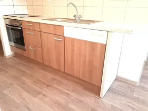 Pronájem bytu 1+1, České Budějovice, K. Šafáře, 43 m2