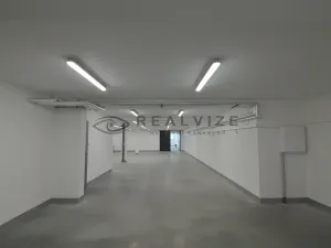 Prodej bytu 3+kk, České Budějovice, J. Dobrovského, 161 m2