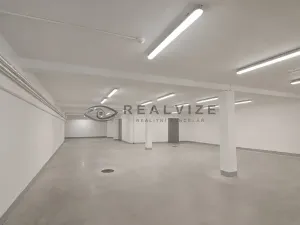 Prodej bytu 3+kk, České Budějovice, J. Dobrovského, 146 m2