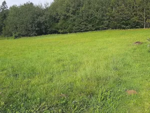 Prodej pozemku pro bydlení, Hrádek, 7770 m2